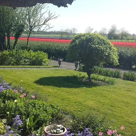 Petit Normande