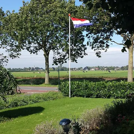 Petit Normande