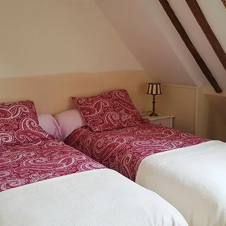 Petit Normande *