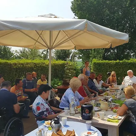 Petit Normande