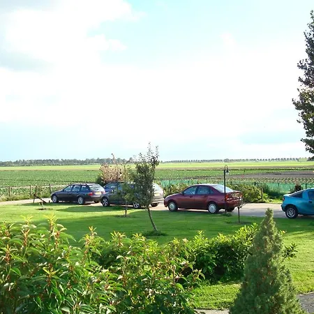 Petit Normande * Westwoud